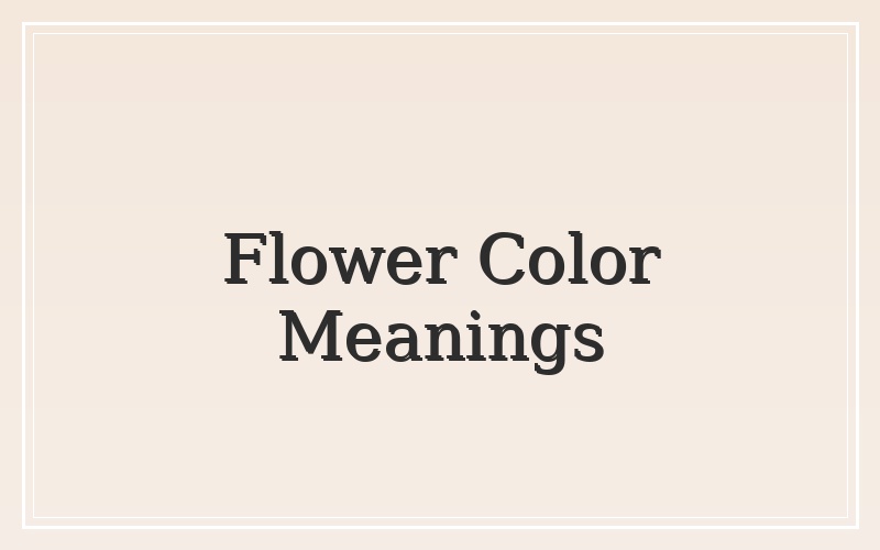 Funeral flower color symbolism and meanings