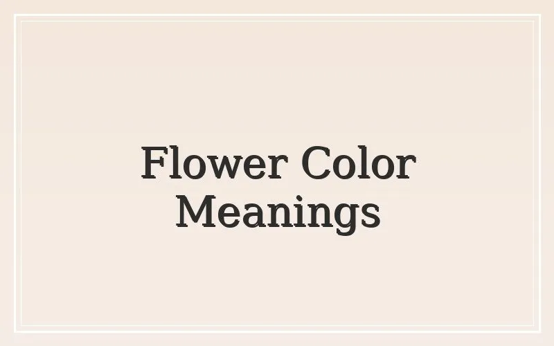 Funeral flower color meanings arrangement Vancouver WA Clark County